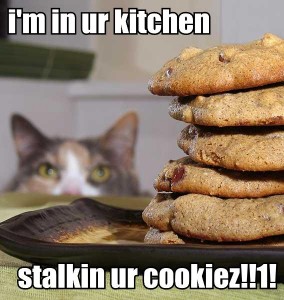 stalkin ur cookiez